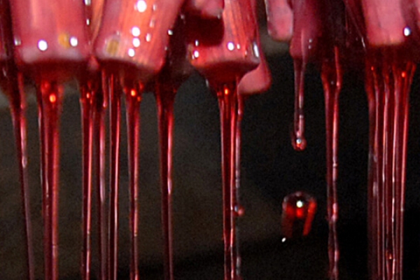 rebschule-freytag-fruejahr 1600 360