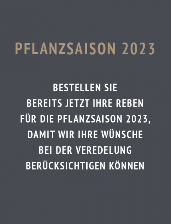 Pflanzsaison2023